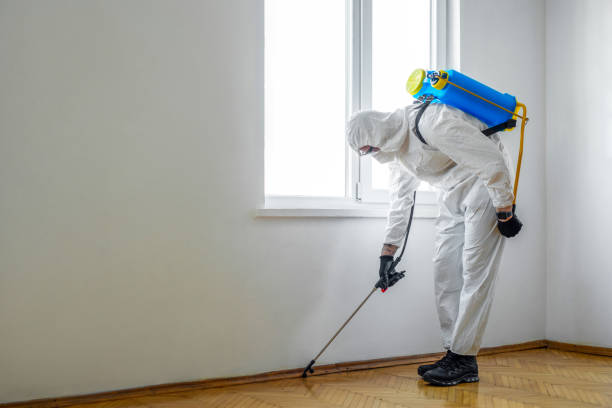 Best Exterminator Services  in Bastrop, TX