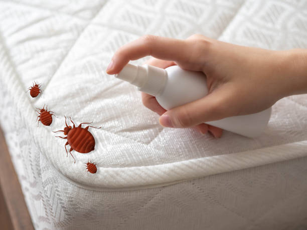 Best Insect Control  in Bastrop, TX